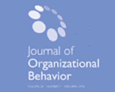 Attached image of Using a pattern-based approach to studying leaders: Implications for leader burnout and role demands
